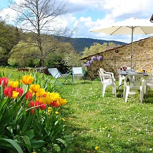 Casa vacanze Casa Al Miglio Pratolino